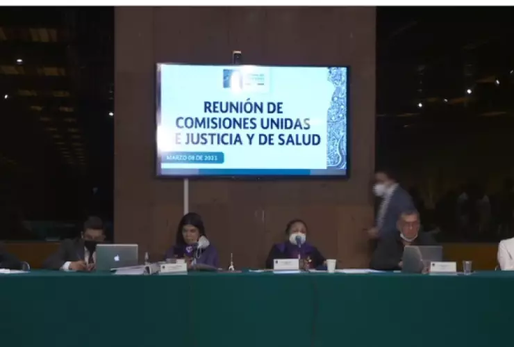 aprueba-dictamen-uso-lúdico-marihuana