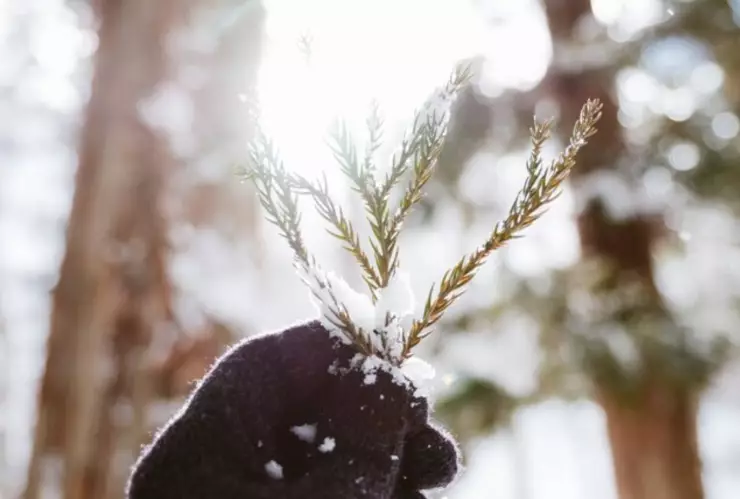 Solsticio de Invierno 2024_ ¿Cuándo inicia en México_.jpg