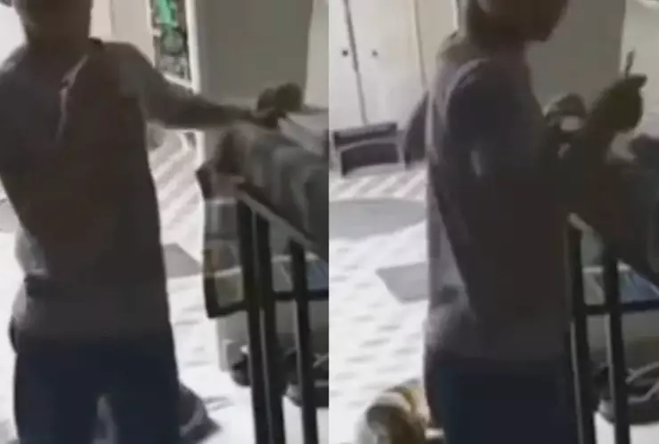 Viral_ Niño le pide ayuda a Alexa a escondida de su mamá; aparato le responde susurrando