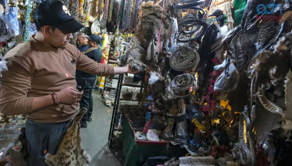 Venta de animales en el Mercado Sonora