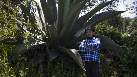 Abraham, joven tlachiquero