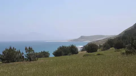 La isla Santa Rosa en California