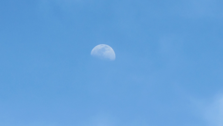 Clima Ciudad Juárez 9 noviembre.png