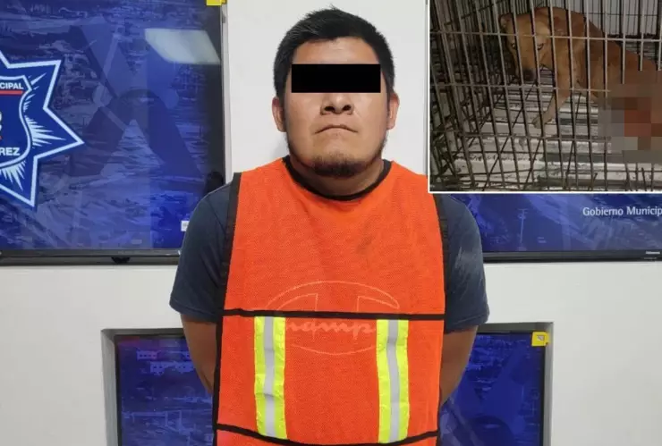 Atacó perro en Ciudad Juárez.jpg