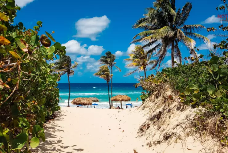 Estados Unidos emite alerta de viaje por brote de virus