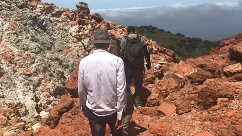 parque nacional revillagigedo