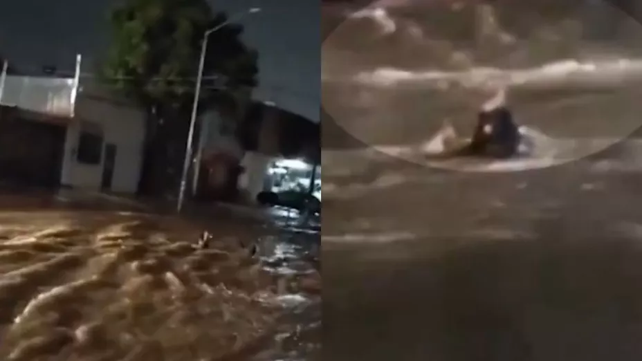 Hombre asegura ser un delfín y se lanza al agua durante una tormenta en Chiapas