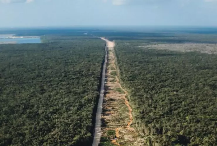 Ecocidio en el Tren Maya