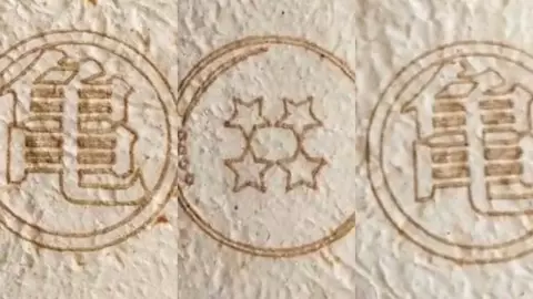 Tortillas de Dragon Ball