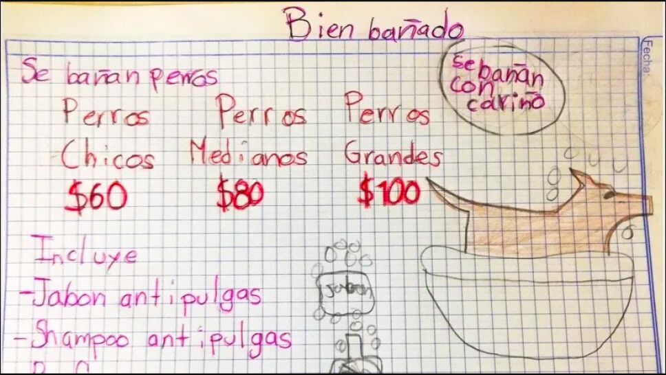 Expflgywpqdtrm Este articulo no esta disponible | etsy. https www adn40 mx es tendencia nota notas 2021 03 05 15 09 nino bana perritos en nuevo leon y lo anuncia con un tierno dibujo sga