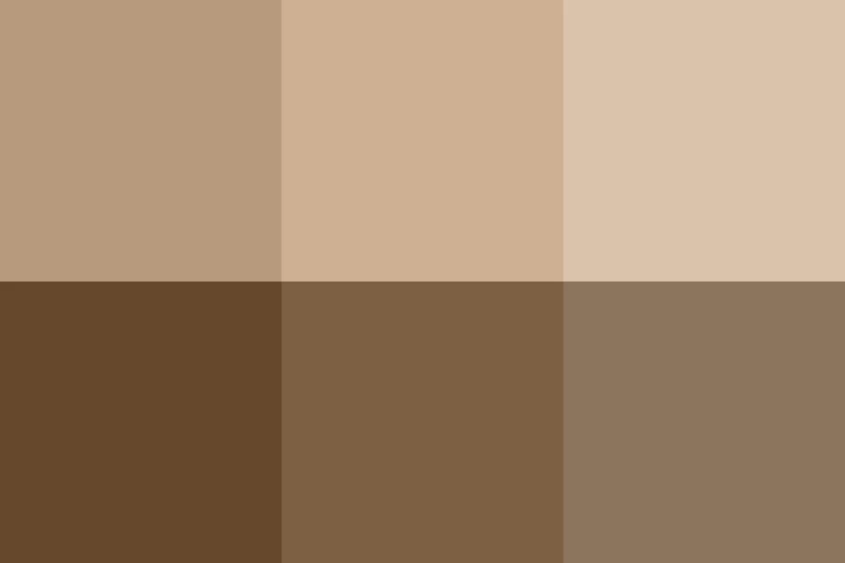 Se instruye a la Secretaría Ejecutiva para que en coordinación con otras áreas, coadyuven en el otorgamiento del registro como observadores a los ciudadanos