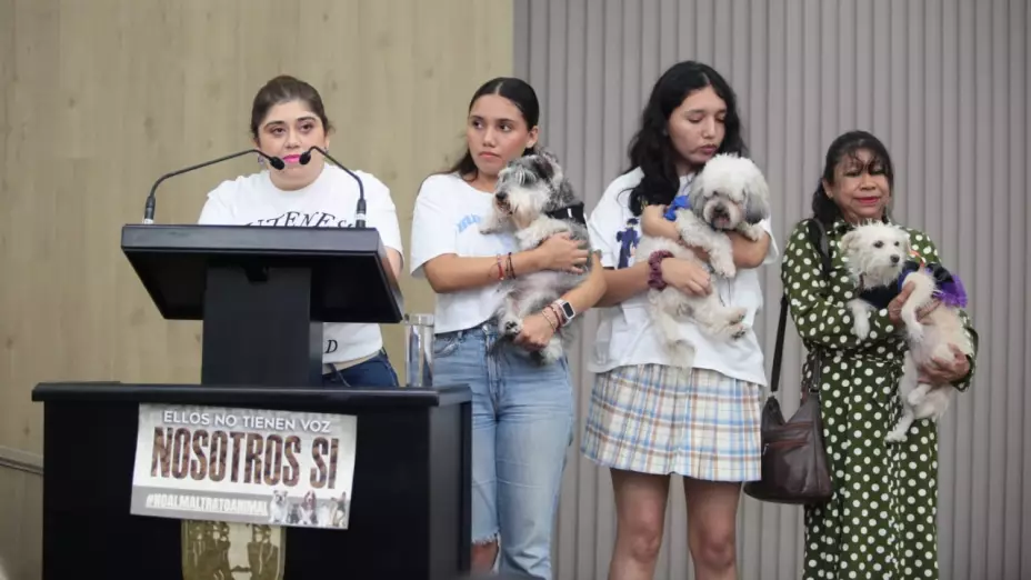 Cuatro mujeres, con edades que varían de jóvenes a adultas, posan en el centro de una sala, con cortinas grises de fondo. En el lado izquierdo, una mujer con una camiseta blanca está de pie detrás de un podio oscuro con un micrófono, donde se puede leer la frase “ELLOS NO TIENEN VOZ NOSOTROS SÍ". En el medio, dos mujeres jóvenes sostienen un perro cada una: una con un perro de pelaje oscuro y blanco, y la otra con un perro de pelaje claro y esponjoso. En el lado derecho, una mujer mayor con un vestido verde estampado sostiene un perro blanco de pelaje liso.