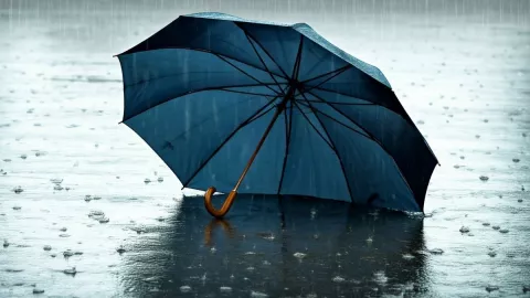 Lluvias en Veracruz hora exacta | 14 de julio de 2025