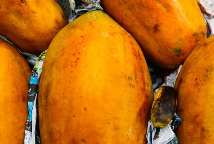 Papaya en México