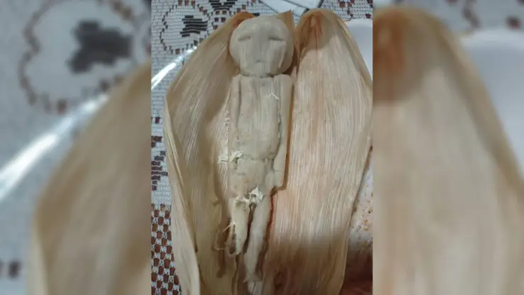 VIDEO Nacen los tamaliens tras extraterrestres presentados por Maussan