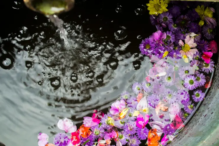 Los baños con flores ayudarán a atraer la abundancia