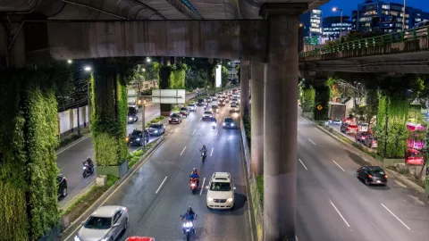 Holograma exento y 00