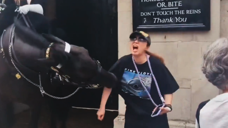 Caballo de la Guardia Real muerde a una turista en Londres.png