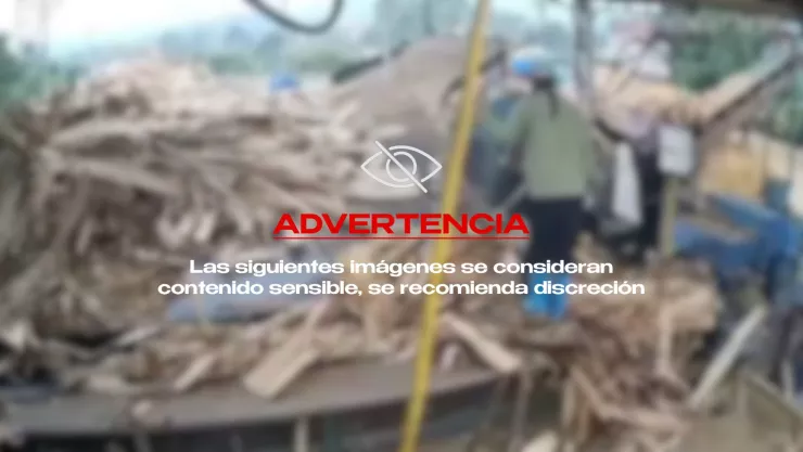 VIDEO ¡IMÁGENES FUERTES! Mujer muere al caer a una trituradora de madera mientras trabajaba en Vietnam