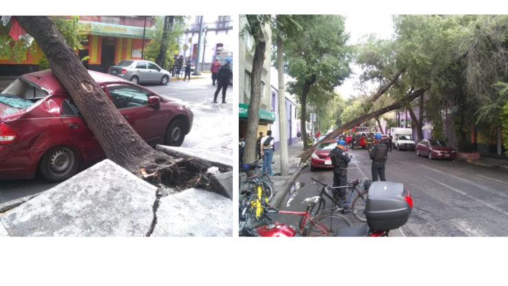 Reportan varias afectaciones por las lluvias y vientos de este viernes en la CDMX
