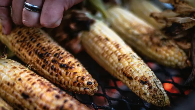 Así se celebrará la Feria del Elote 2025 en CDMX: Fechas, platillos y actividades