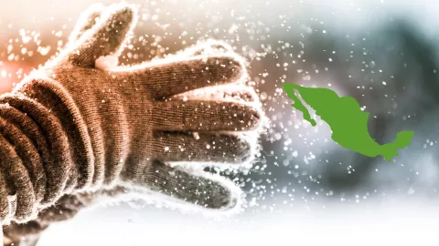 Estos estados serán afectados por la tormenta invernal 1