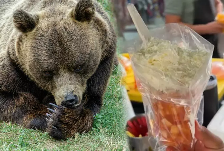 Caldo de Oso: qué es y cómo se prepara
