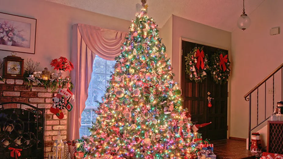 ARBOL