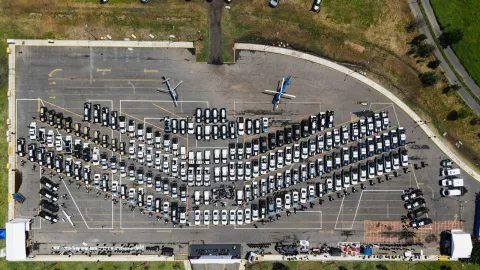 mando único harfuch