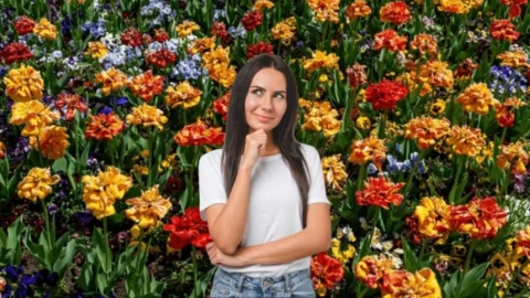 Estas 8 plantas son perfectas para el clima fr&iacute;o