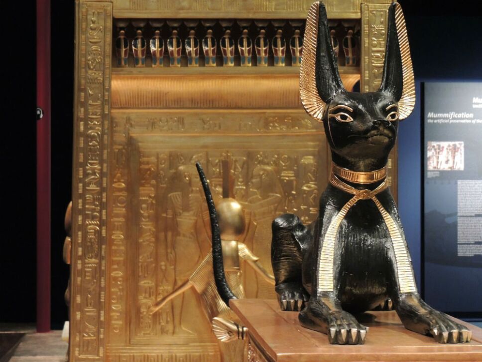 El gato en la historia