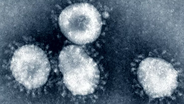 coronavirus