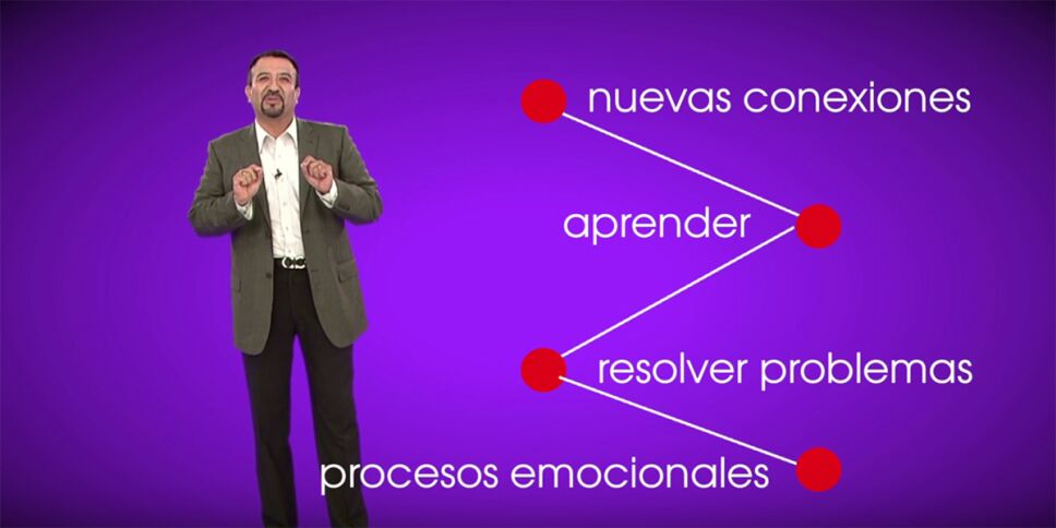 El cerebro