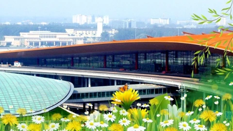 mejores aeropuertos mundo ACI