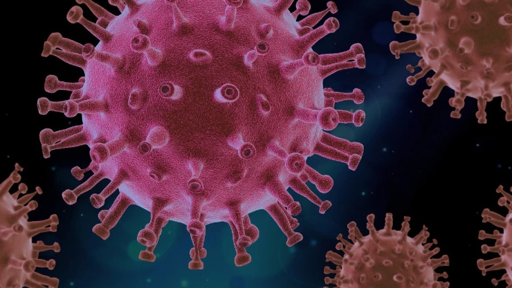 Covid-19 moléculas células.jpg