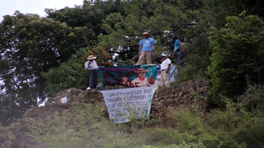 Activista ambienttal_CO.jpeg