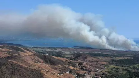 manglares de Coyuca de Benítez bajo fuego