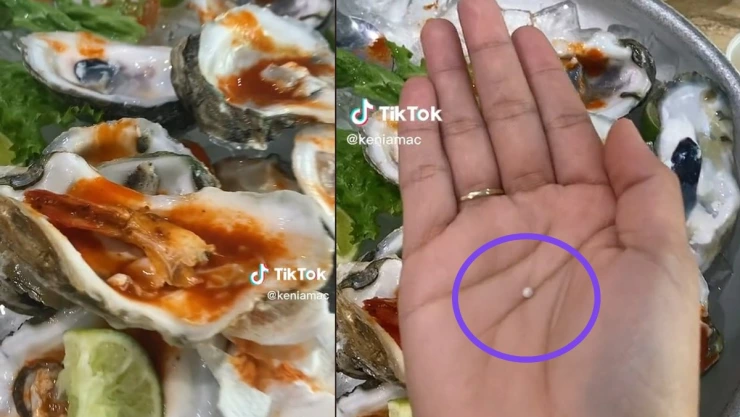 Mujer encuentra perla en ostiones.