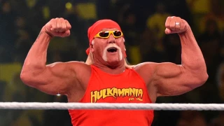 hulk hogan