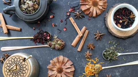 fotografía - 2025-08-26T195053.151.png