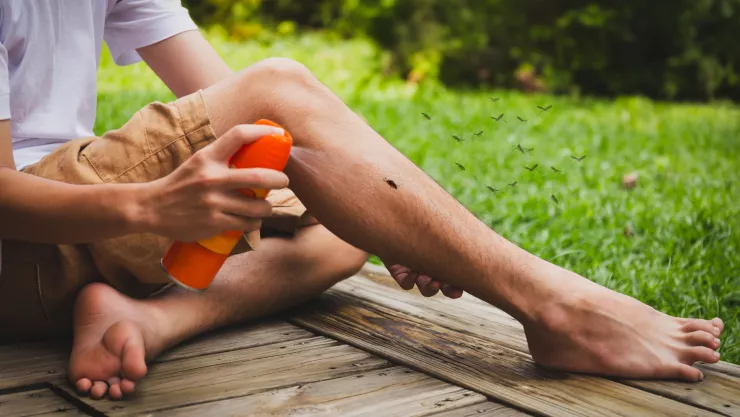 ¿Cuáles son los mejores repelentes para combatir a las chinches y pulgas?