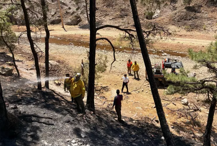 Protección Civil intensifica labores de combate