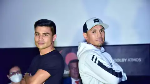 Gallo Estrada Argi Cortes