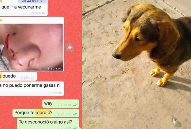 rodolfo corazon versiones novia.jpg