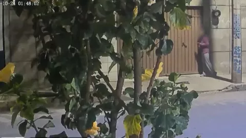 “Lau” quedó abandonada en calles de Nezahualcóyotl, donde vecinos la auxiliaron