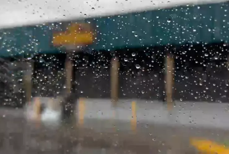 WhatsApp Image 2026-01-07 at 8.01.14 PM.jpeg