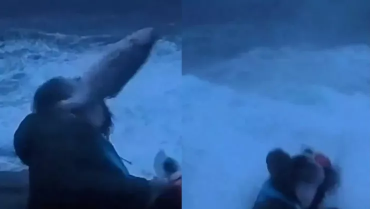 Reportero es golpeado por pez