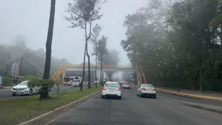Niebla Xalapa
