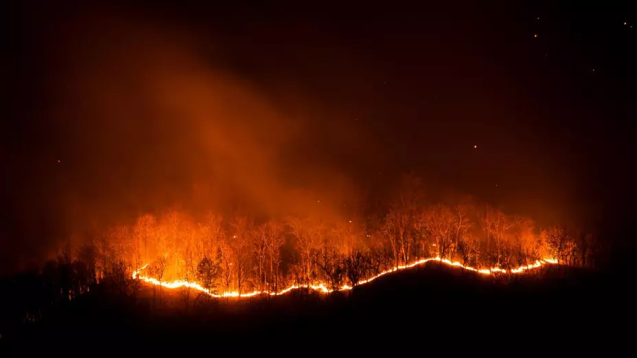 ¿Qué hacer y dónde reportar incendios forestales?