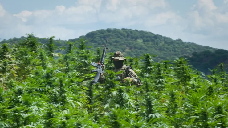 ¿Cuáles son los principales cárteles de droga en México, según la DEA?